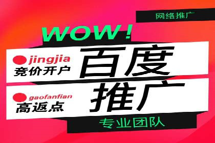 sem代运营公司成功案例：提升网站流量与转化率